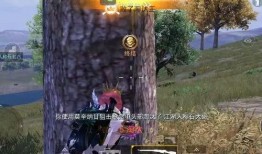 吃鸡娱乐爆料,精彩内容抢先看！